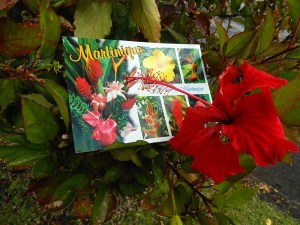 Madinina, île aux fleurs, Flower Island