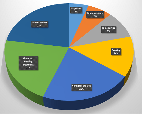 Tanlistwa ,Graph of the distribution of enslaved people at the Fort-Royal Hospital in 1793 according to their activity