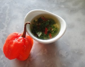 tanlistwa, piment, pimentade, Sauce-chien