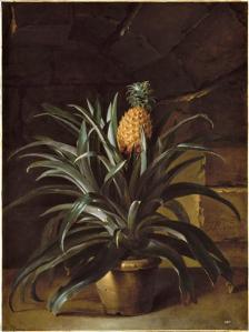 tanlistwa, Ananas dans un pot par Jean-Baptiste Oudry, 1771